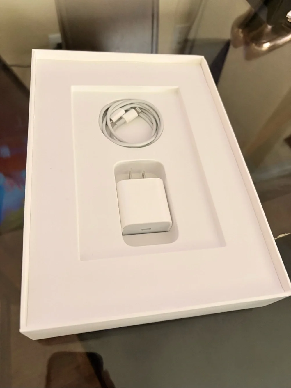 Apple iPad - Silver/White Back